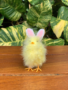 Feathery Easter Chicks 5" tall