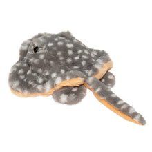 Stella Stingray