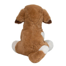 Shirlie Soft Doodle Dog 9"