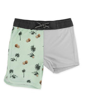 Scallop Boardshort in Coconut Beach Surf Spray