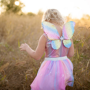 Rainbow Sequins Skirt, Wings and Wand Set in 4-6yrs