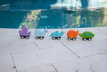 Pull Back Ocean Creatures (5 Options)