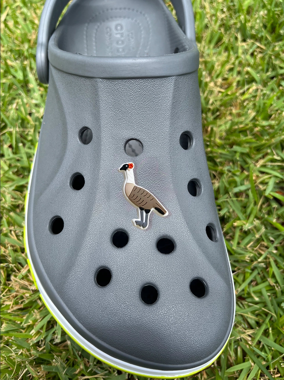 Hawaii Themed Jibbitz Croc Charm - Nene Goose
