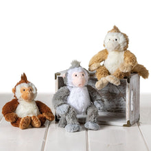 Tango Monkey 9” (Various Color Options)