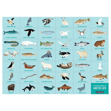 Arctic Life 64 Piece Search & Find Puzzle
