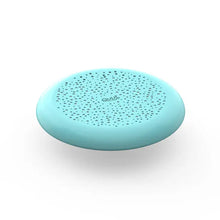 Flying Disc and Sand Sifter
