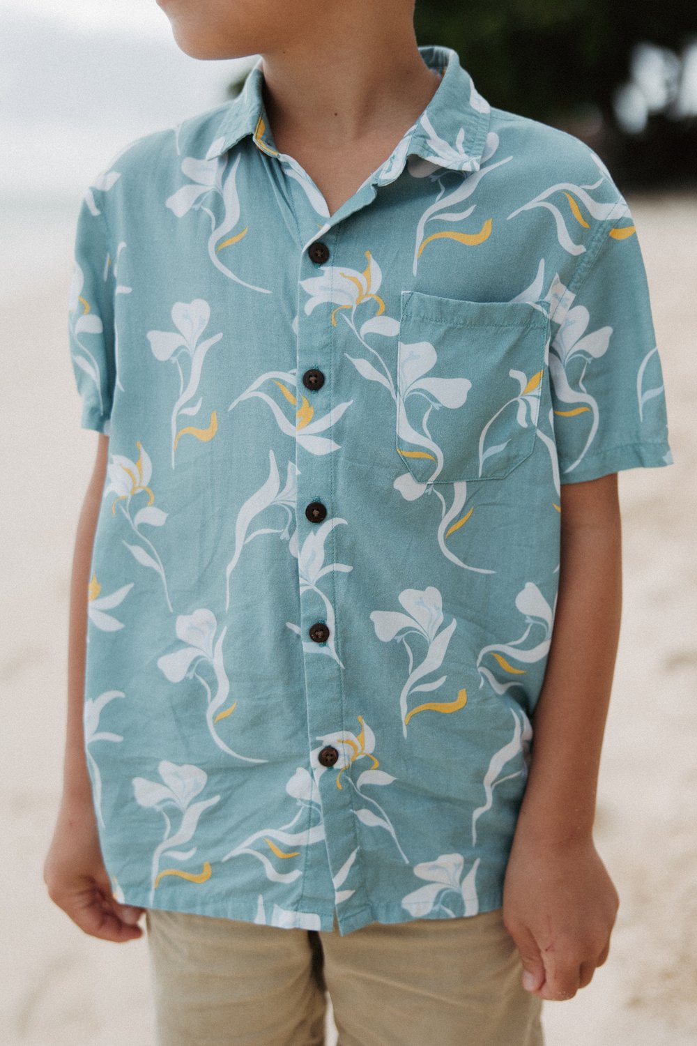 Gingerly Aloha Shirt