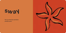 Spring Street Touch and Feel - Ocean