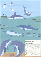My Nature Sticker Activity Book : In the Ocean