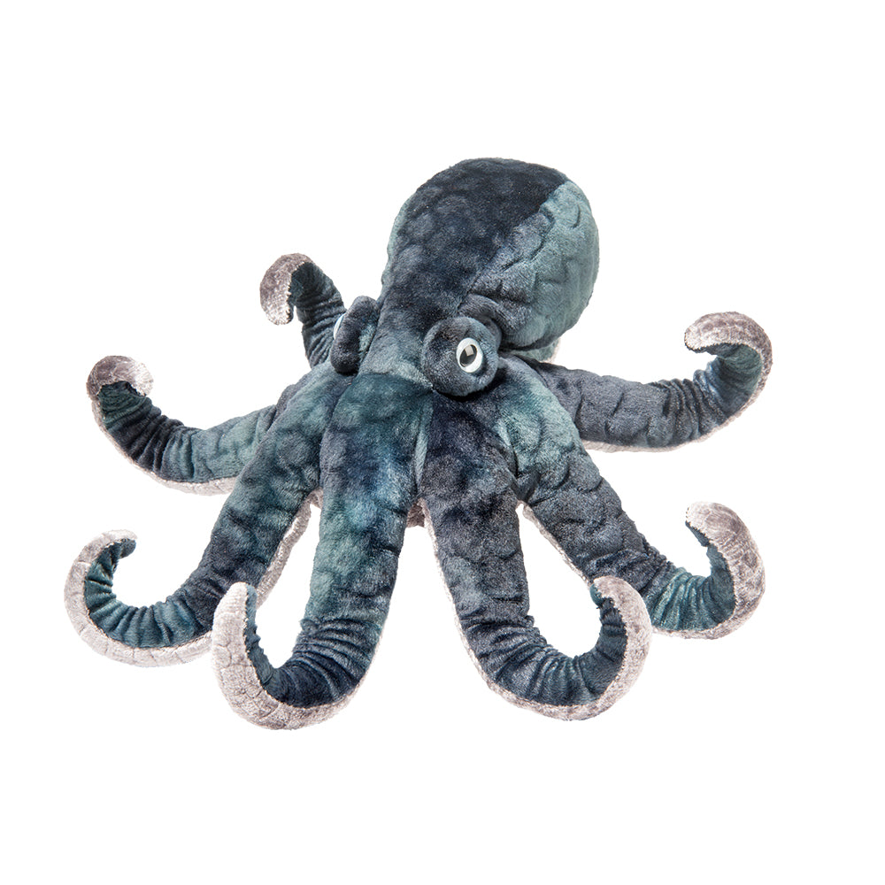 Winky Octopus