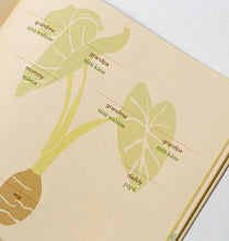 Hawai'i Baby Book