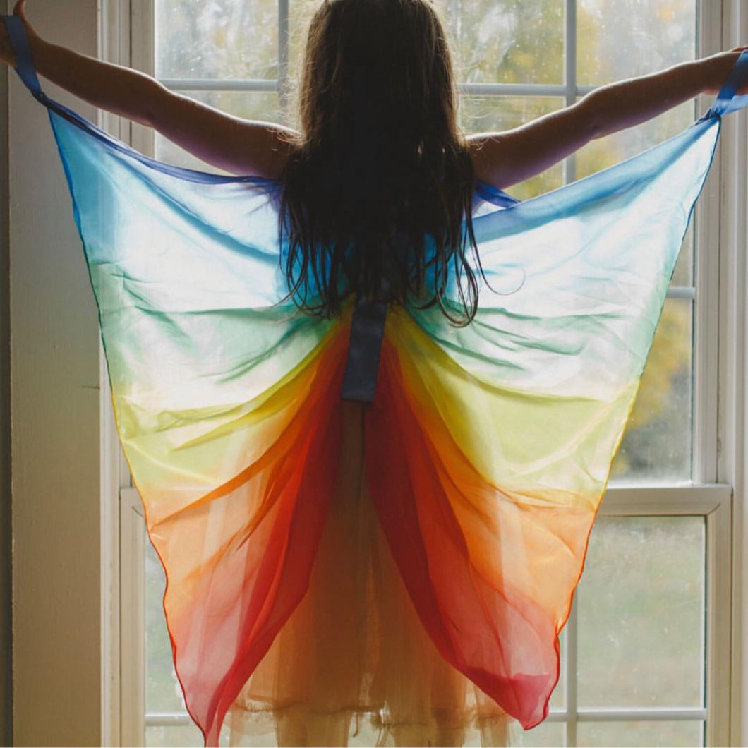 Rainbow Wings